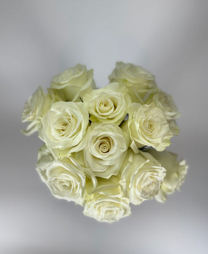Mia White Rose