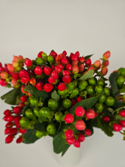 Mixed Color Hypericum Berries