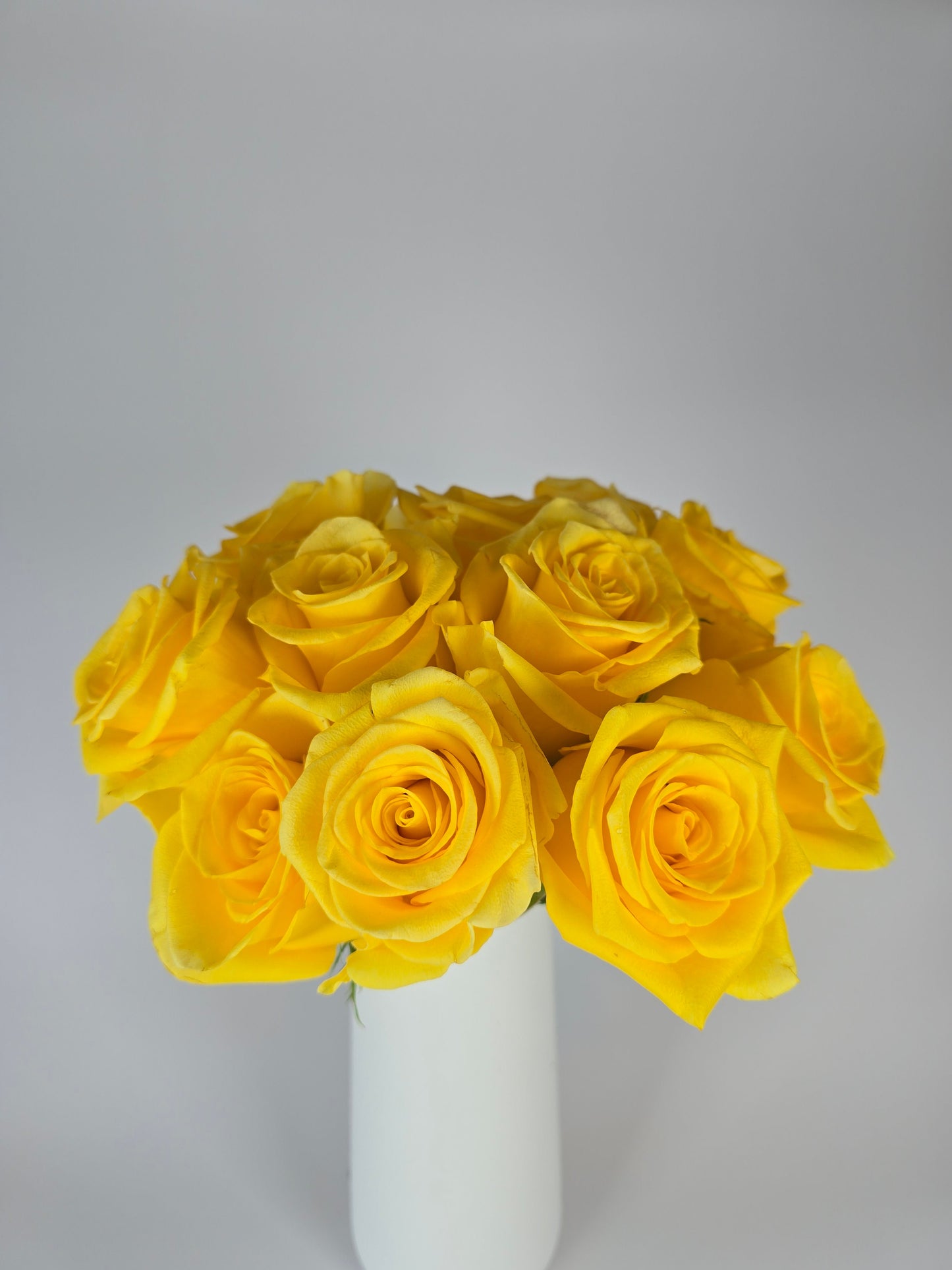Momentum Yellow Rose