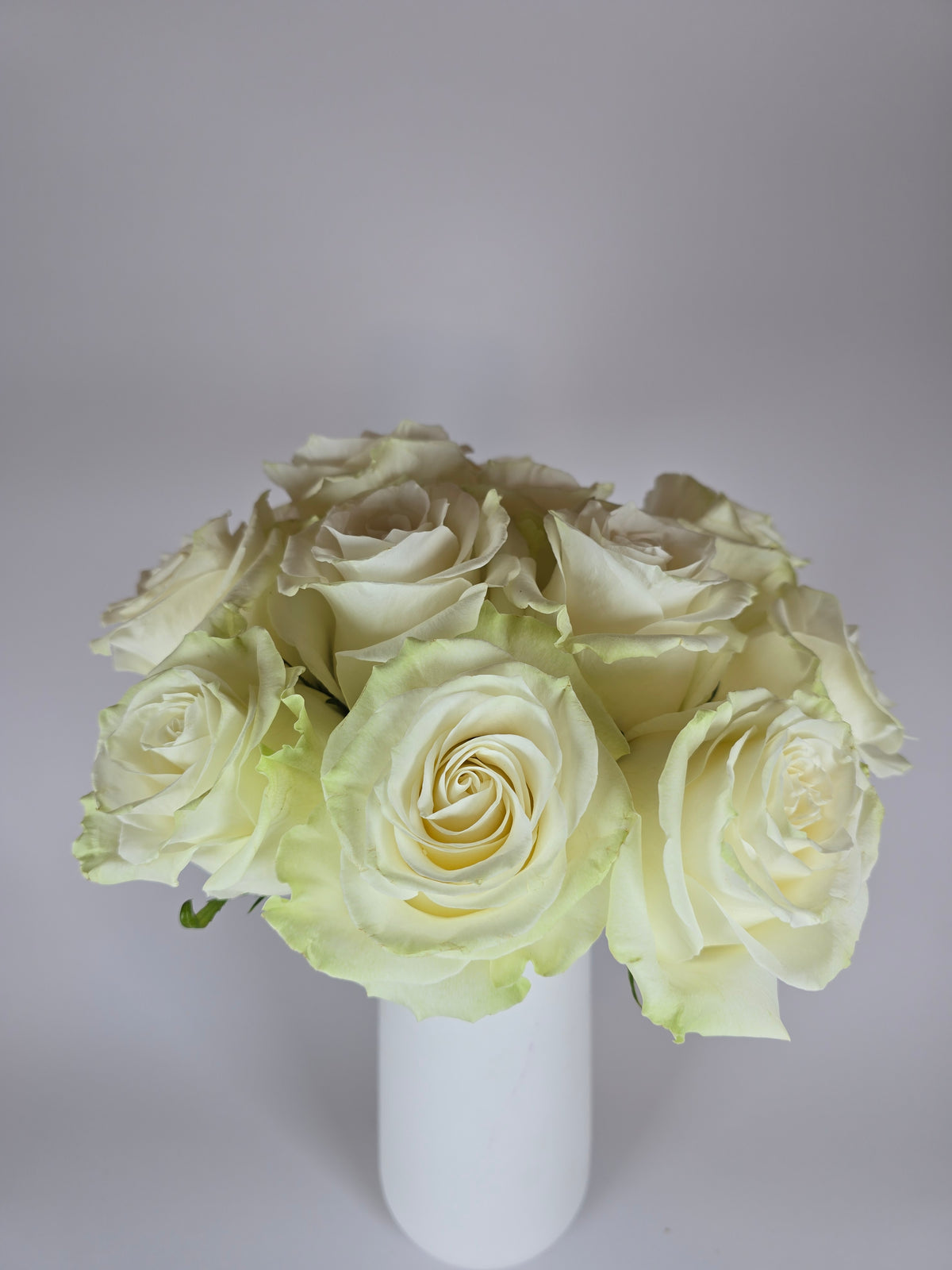 Mondial Roses Mondial White Roses Wholesale Bulk | The Flower Hype