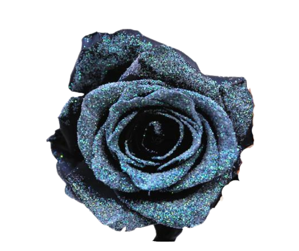 Nebula Tinted Roses