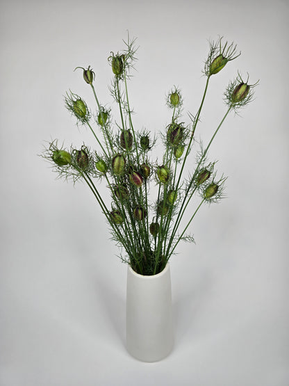 Nigella Pods