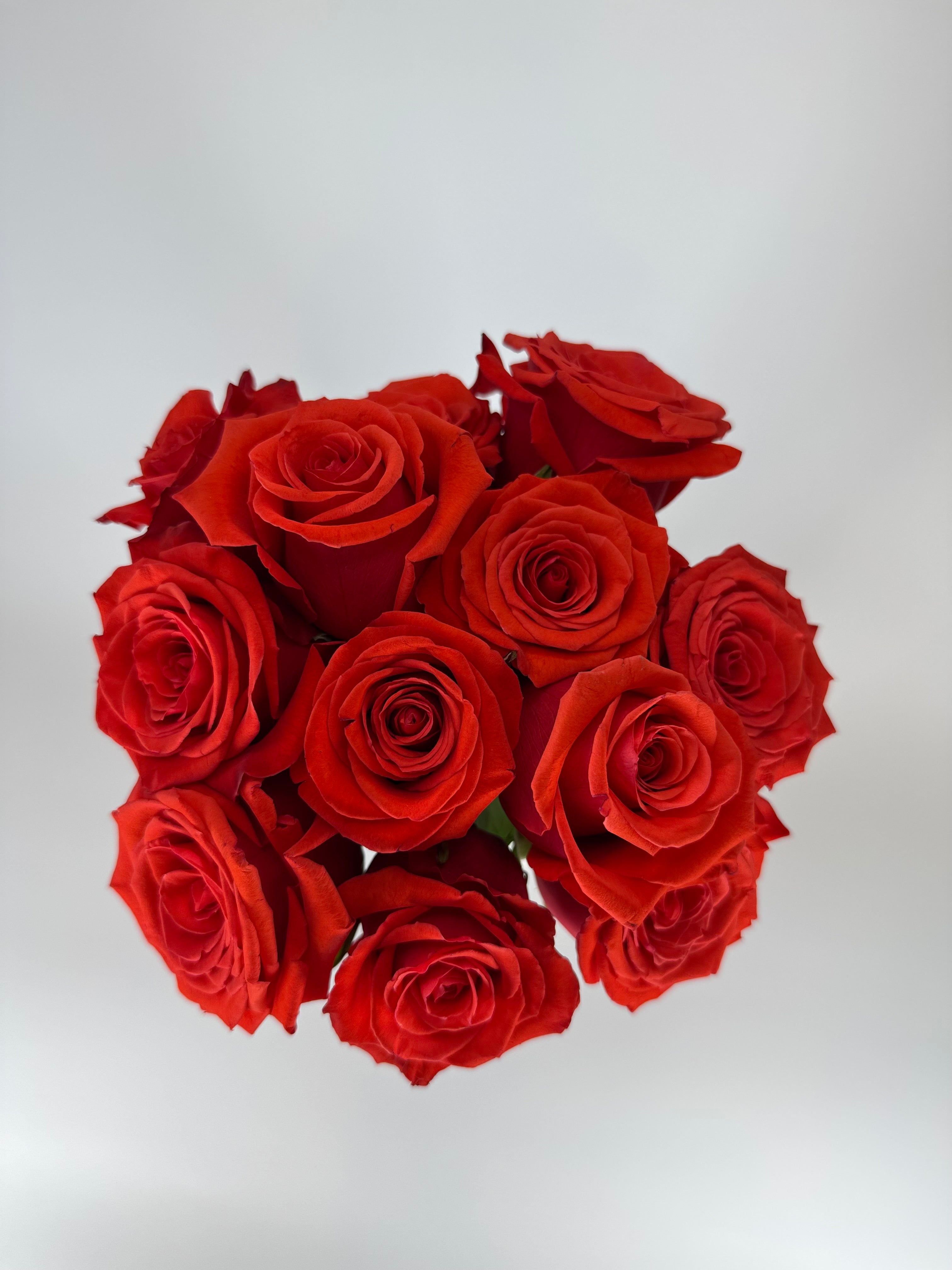 Nina Rose – The Flower Hype