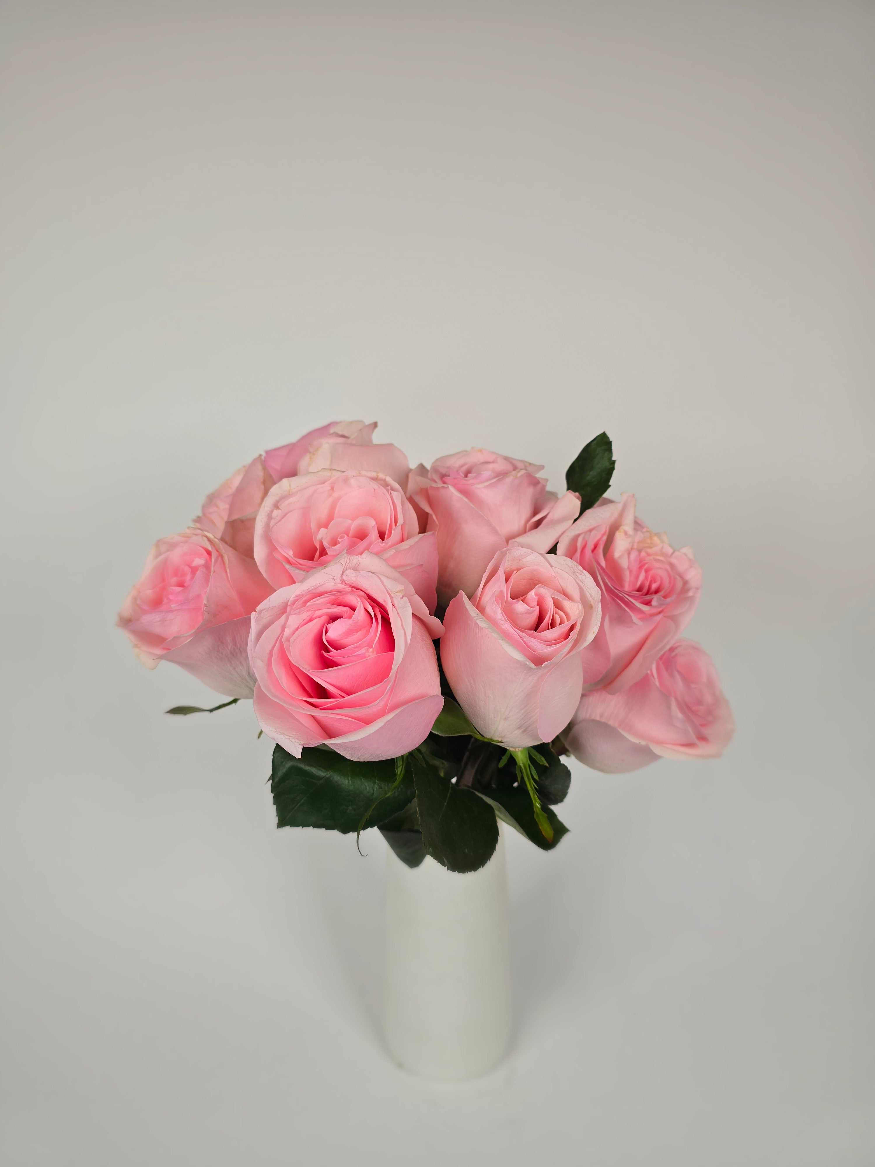 Novia Light Pink Rose – The Flower Hype