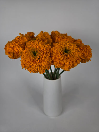 Orange Marigolds