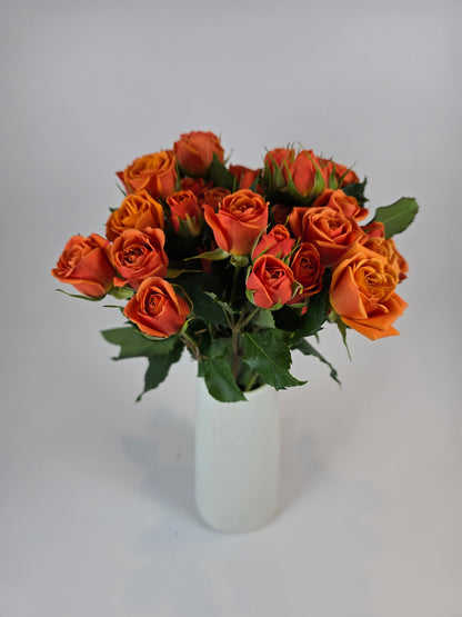 Orange Spray Rose