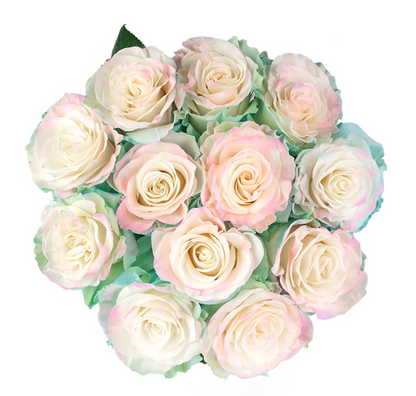 Pastel Aurora Tinted Roses