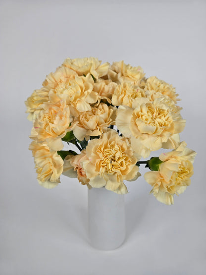 Peach Carnations