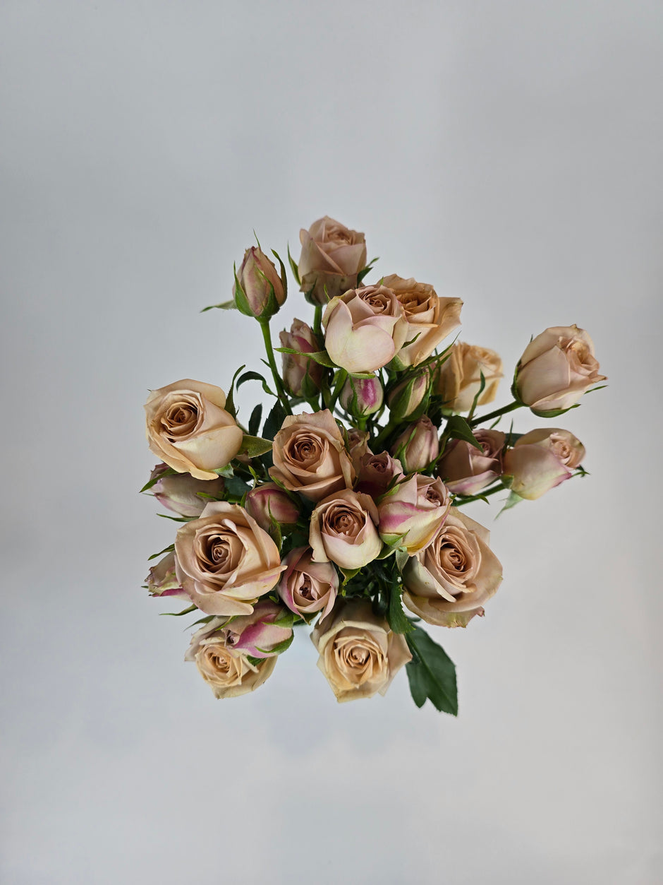 Spray Roses for Bouquets & Events | The Flower Hype