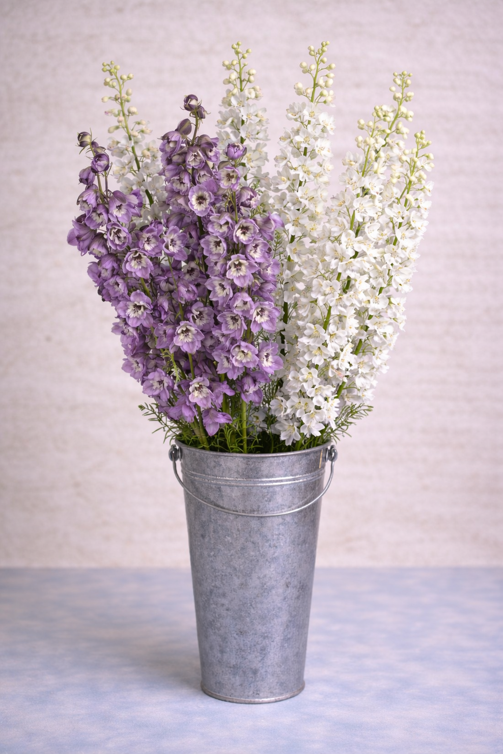 Petal Symphony Mixed Garden Box