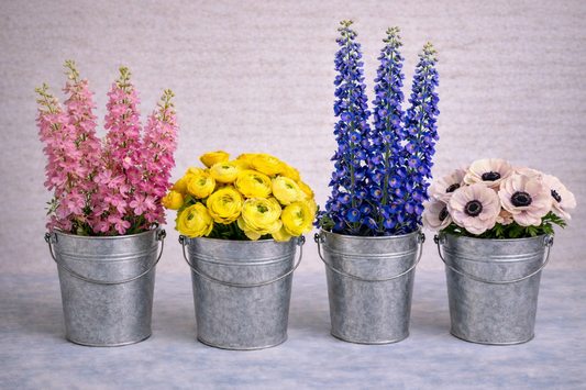 Petal Symphony Mixed Garden Box