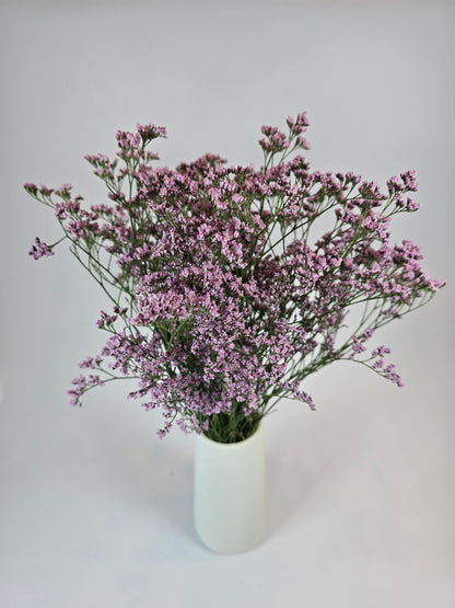 Pink Limonium