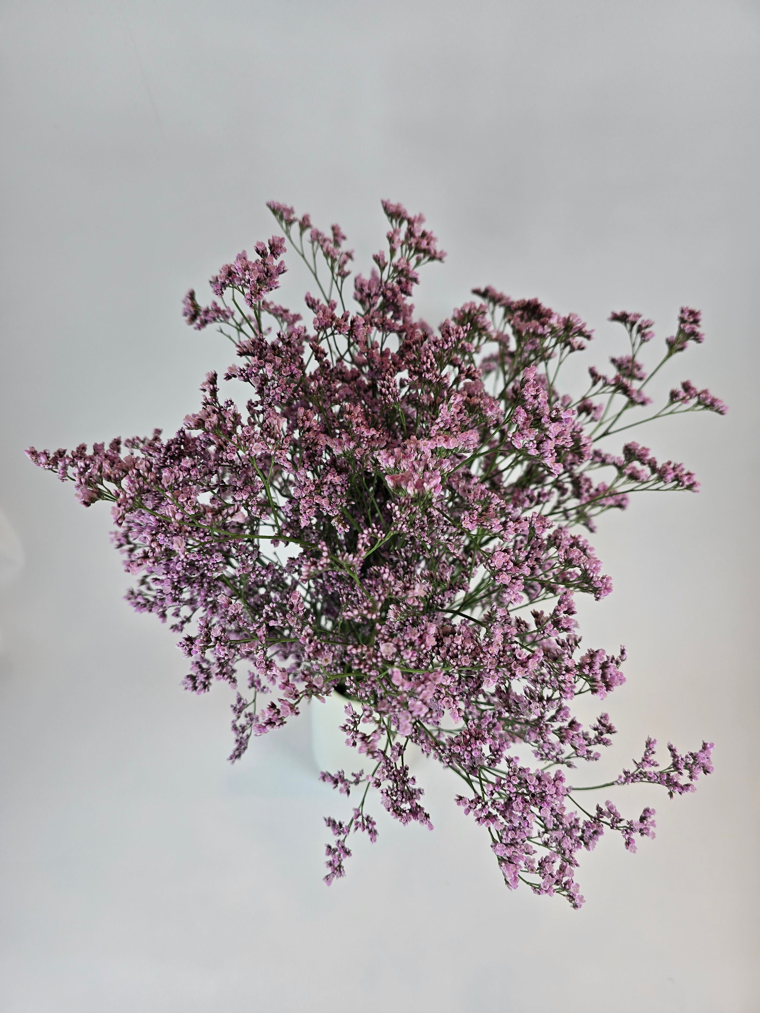 Limonium Flowers for Lasting Texture | The Flower Hype