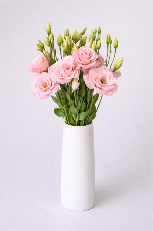 Pink Lisianthus