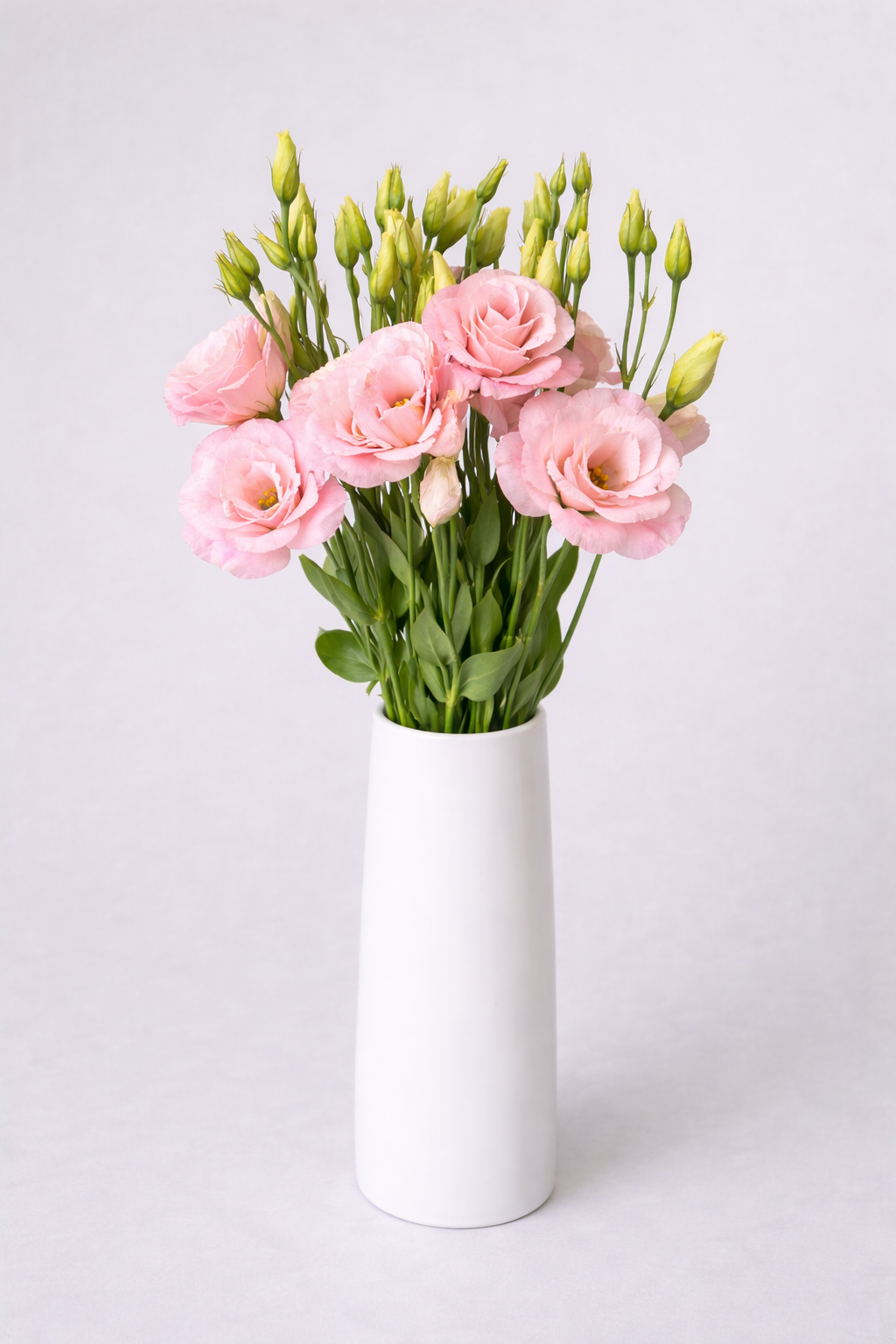 Pink Lisianthus