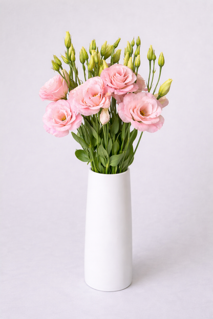 Pink Lisianthus