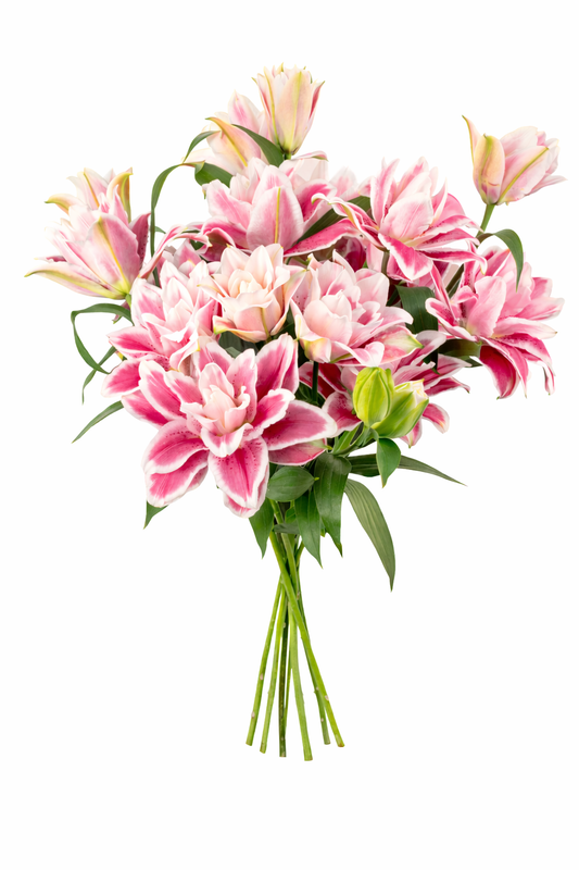Pink Rose Double Lilies