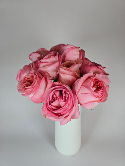 Pink Xpression Garden Rose