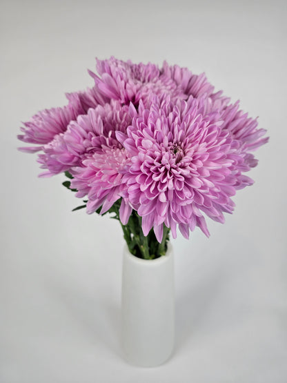 Pinky Lavender Cremons