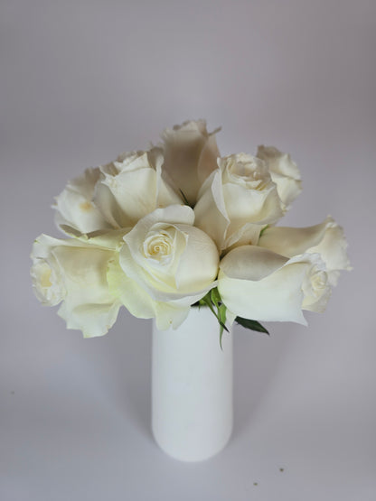 Proud White Rose