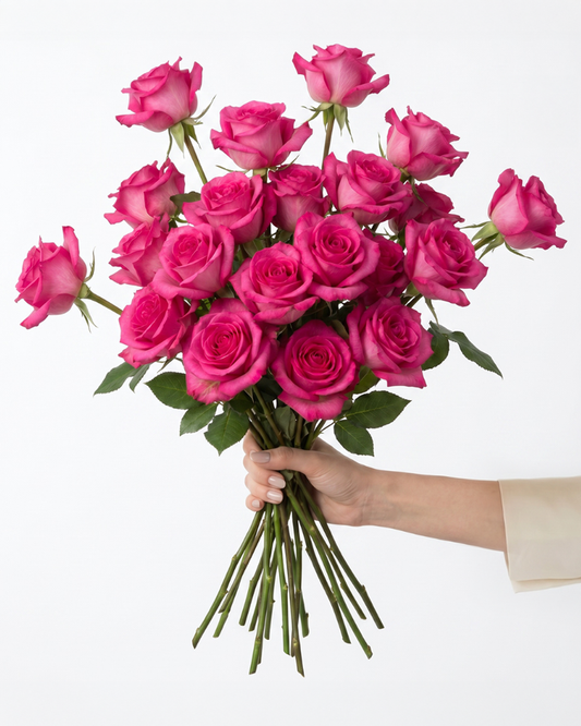 Purple Cezanne Hot Pink Roses