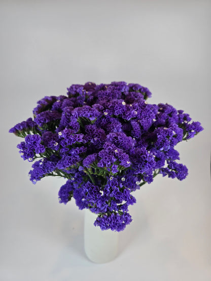 Purple Statice