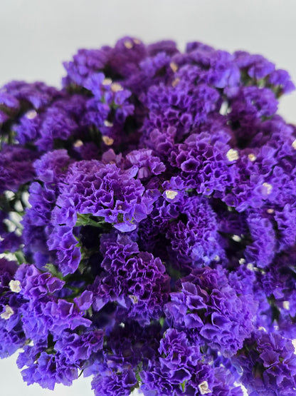 Purple Statice