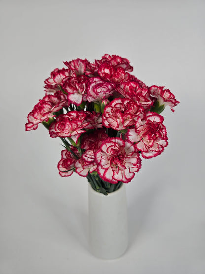 Red and White Mini Spray Carnations