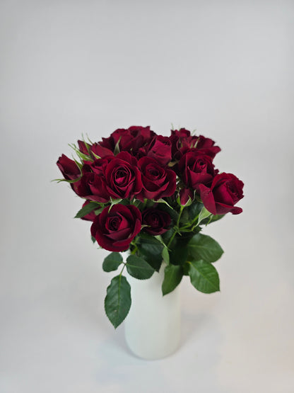 Red Spray Rose