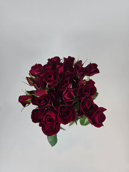 Red Spray Rose