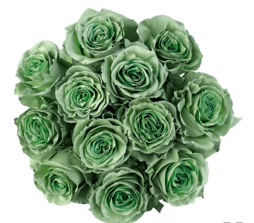 Sage Green Tinted Roses – The Flower Hype