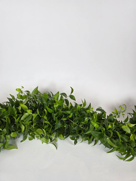 Smilax Garlands