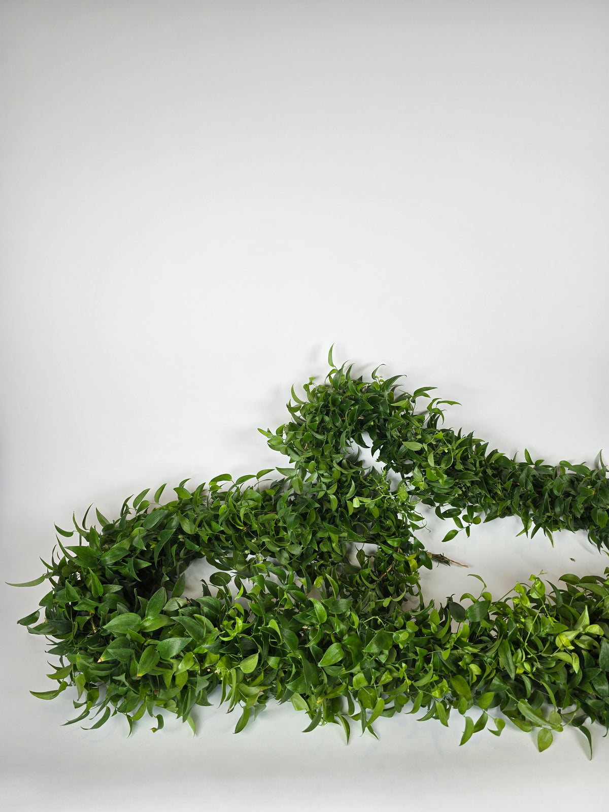 Smilax Garlands