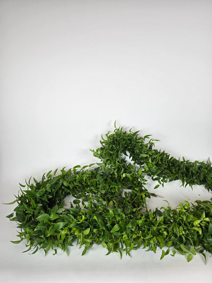 Smilax Garlands