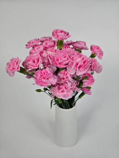 Soft Pink Spray Carnations