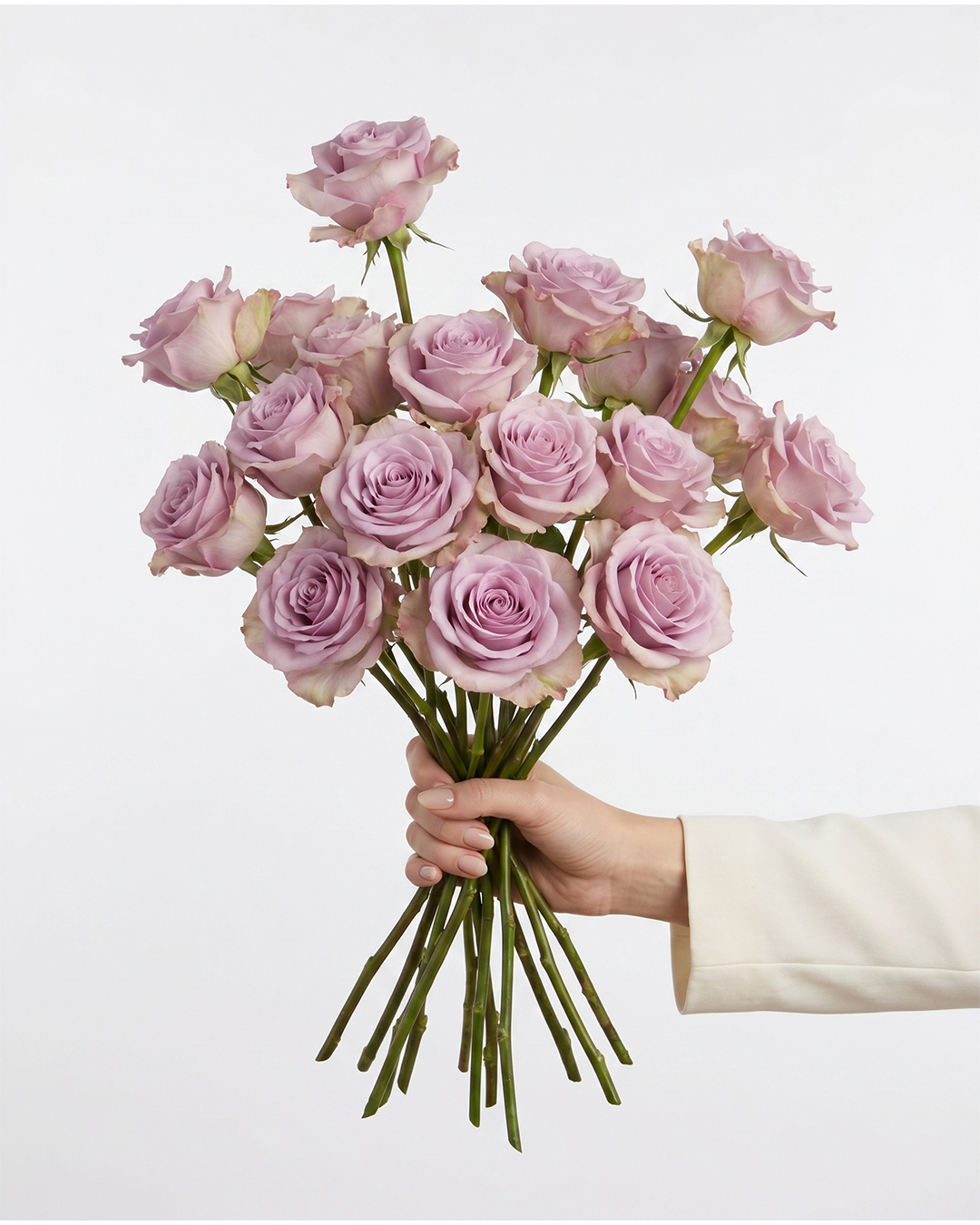 Star Platinum Lavender Roses