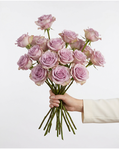 Star Platinum Lavender Roses