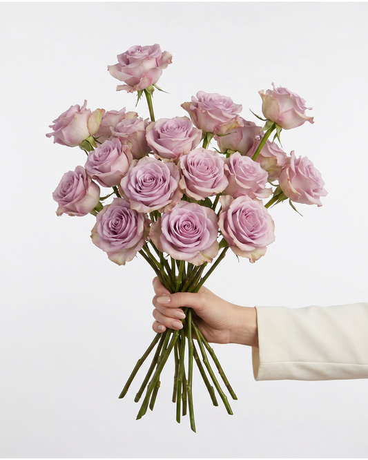 Star Platinum Lavender Roses