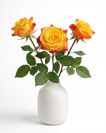 Summerlight Bicolor Yellow and Orange Roses