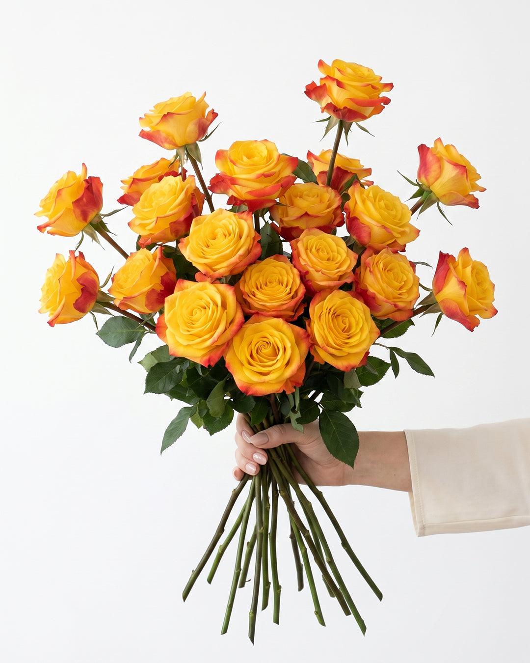 Summerlight Bicolor Yellow and Orange Roses