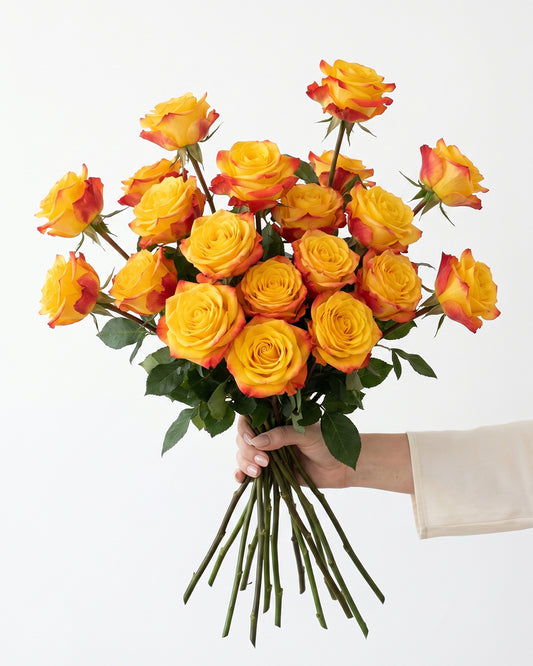Summerlight Bicolor Yellow and Orange Roses