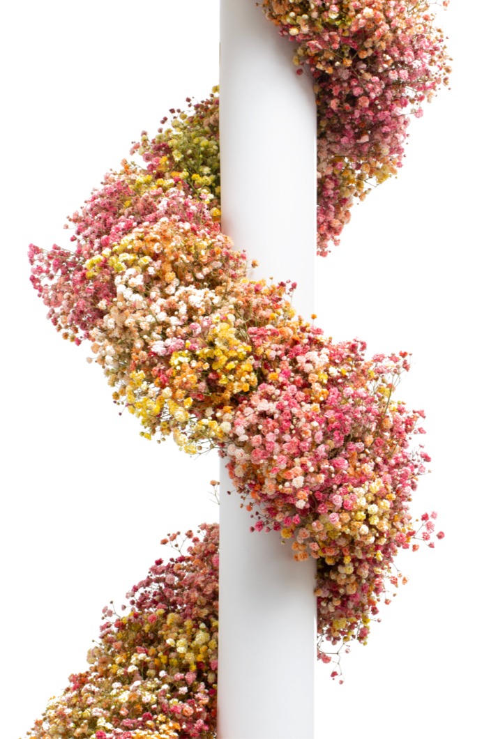 Sunset Rainbow Baby's Breath Garland