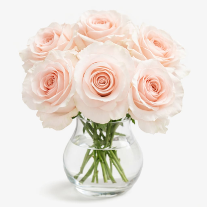Sweet Beat Light Pink Roses