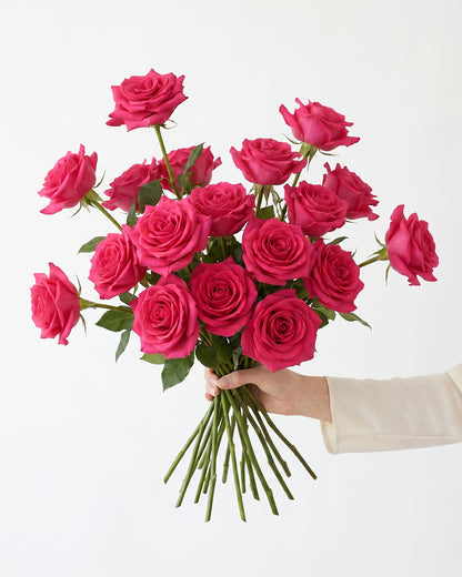 Vi Pink Hot Pink Roses