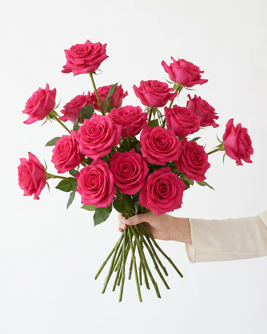 Vi Pink Hot Pink Roses