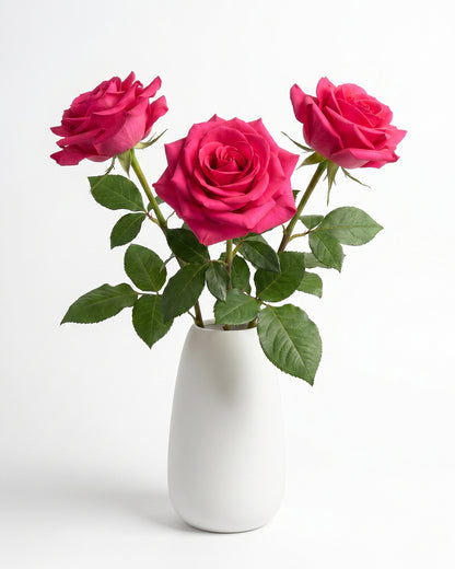 Vi Pink Hot Pink Roses