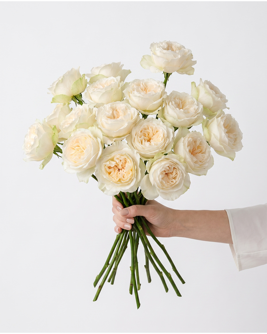 Vicky Ivory Garden Roses