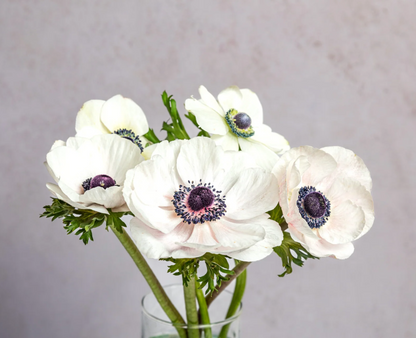 White and Gold Garden Box