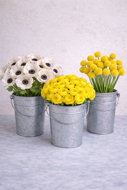 White and Gold Garden Box