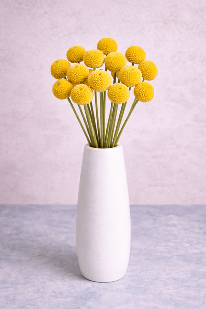 White and Gold Garden Box